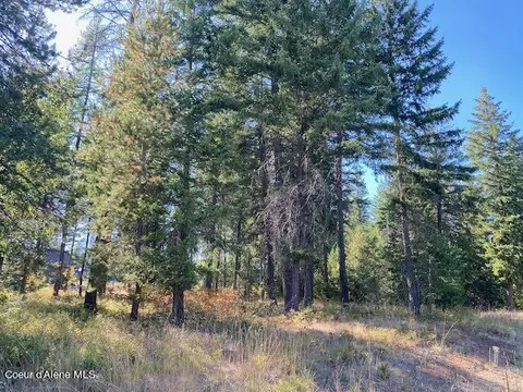 L4b10 N Walden Loop, Rathdrum, ID 83858 photo 2