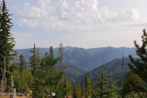 Star Claim 9 & 11 Daisy Gulch Rd, Mullan, ID 83846