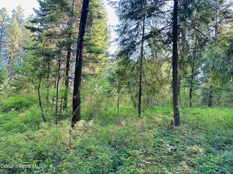 Nka F St, Plummer, ID 83851 photo 4