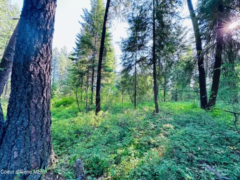 Nka F St, Plummer, ID 83851 photo 3