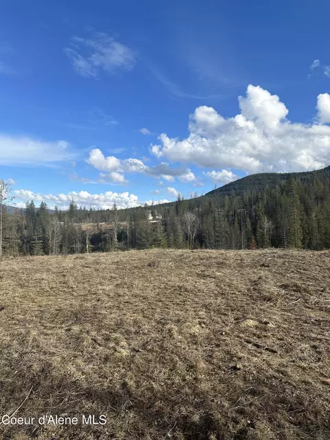 205 Silver Saddle Ct, Pinehurst, ID 83850 photo 2