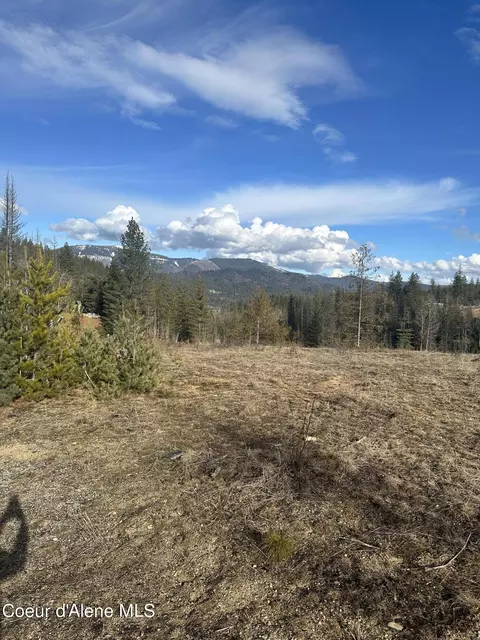 205 Silver Saddle Ct, Pinehurst, ID 83850 photo 3