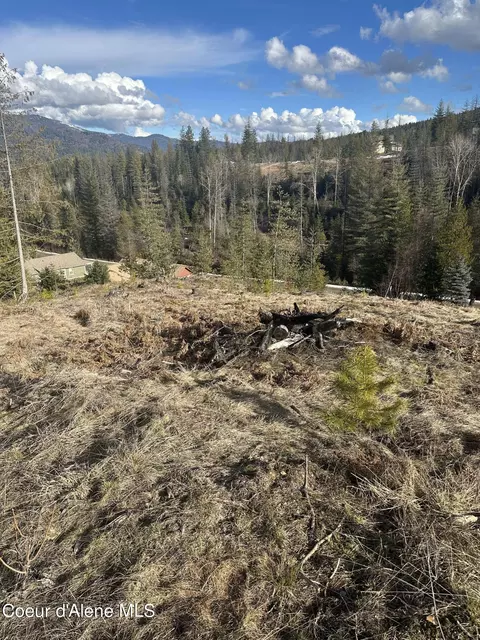 205 Silver Saddle Ct, Pinehurst, ID 83850 photo 7