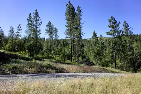 268 Usfs 2550, Blanchard, ID 83804