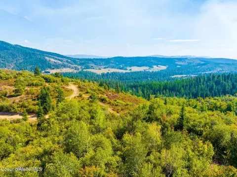 Parcel 8 Agency Rd, Plummer, ID 83851 photo 22