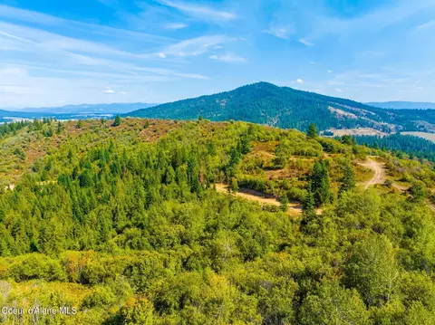 Parcel 8 Agency Rd, Plummer, ID 83851 photo 23
