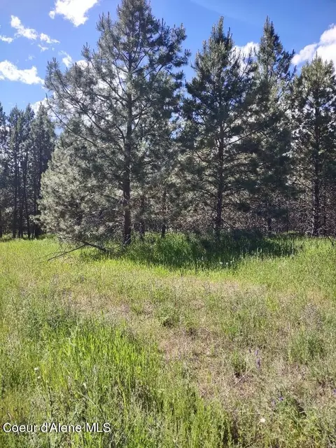 lot21 Champs Rd, Bonners Ferry, ID 83805