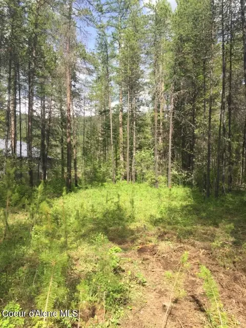 665 Wakena Ln, Priest River, ID 83856