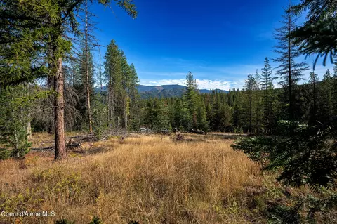 107 Blazing Saddle Ct, Pinehurst, ID 83850 photo 3