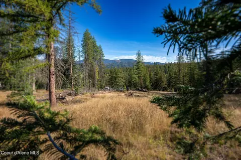 107 Blazing Saddle Ct, Pinehurst, ID 83850 photo 1