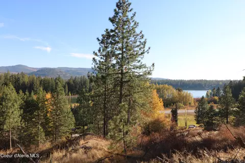 25 Pine Leaf Rd, Laclede, ID 83841 photo 34