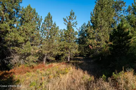 Nna Watt Hill Ln., Plummer, ID 83851 photo 7