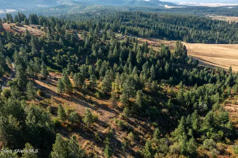 Nna Watt Hill Ln., Plummer, ID 83851 photo 8