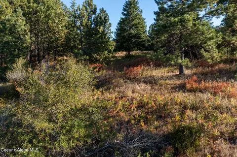 Nna Watt Hill Ln., Plummer, ID 83851 photo 16