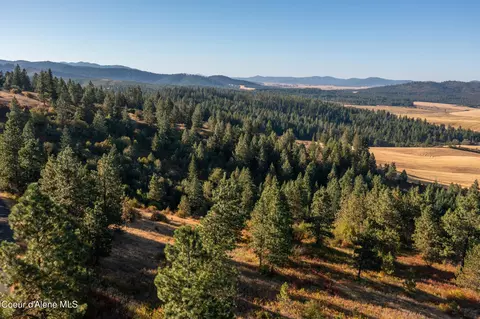 Nna Watt Hill Ln., Plummer, ID 83851