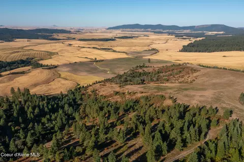 Nna Watt Hill Ln., Plummer, ID 83851 photo 15