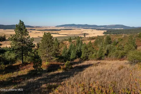 Nna Watt Hill Ln., Plummer, ID 83851 photo 4
