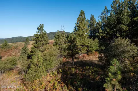 Nna Watt Hill Ln., Plummer, ID 83851 photo 17
