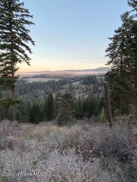 lot2 Flat Creek Rd, Saint Maries, ID 83861