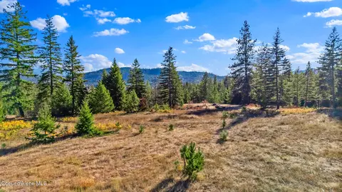Nka Y-for Rd., Cocolalla, ID 83813 photo 3
