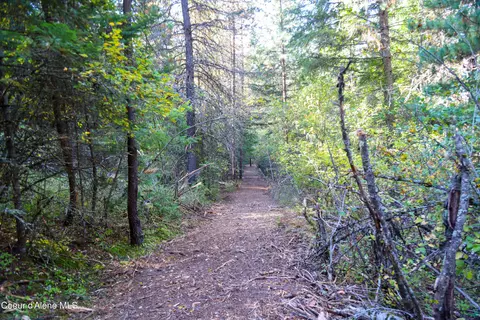30 91acs French Gulch Rd, Kingston, ID 83839