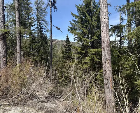06 Parallel Run # 9a, Sandpoint, ID 83864