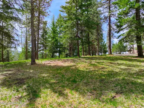 Nna S Ridgeview Loop, Harrison, ID 83833 photo 19