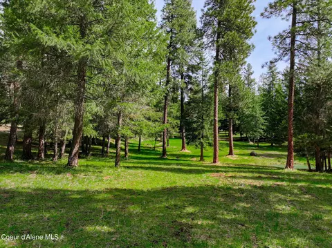 Nna S Ridgeview Loop, Harrison, ID 83833 photo 20