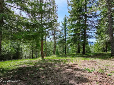 Nna S Ridgeview Loop, Harrison, ID 83833 photo 23