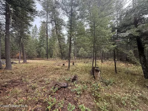 260 Deerhaven Ln, Fernwood, ID 83830