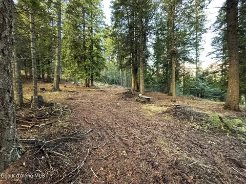 16701 N Right Fork Rd, Hauser, ID 83854 photo 16