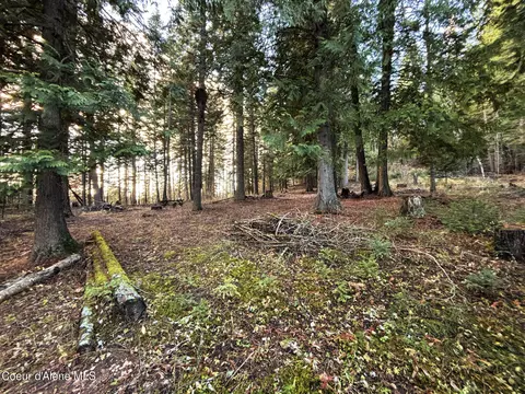 16701 N Right Fork Rd, Hauser, ID 83854 photo 18