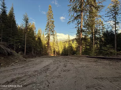16701 N Right Fork Rd, Hauser, ID 83854 photo 13