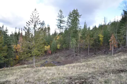 391457 Highway 95, Plummer, ID 83851 photo 28