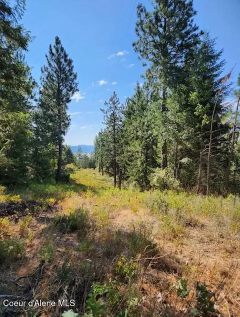 199 Bremerman Ln, Plummer, ID 83851 photo 3