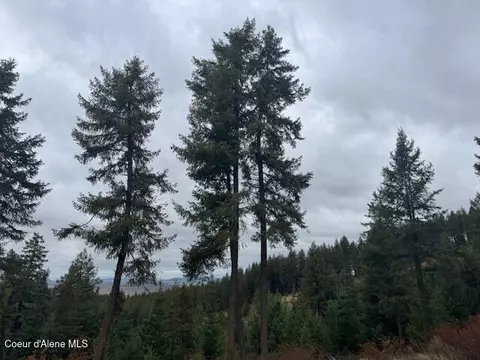 199 Bremerman Ln, Plummer, ID 83851 photo 8