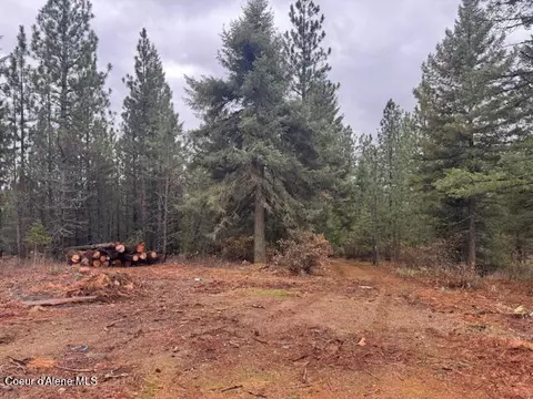 199 Bremerman Ln, Plummer, ID 83851 photo 6