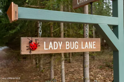 Nka E Lady Bug Ln, Hayden, ID 83835 photo 3