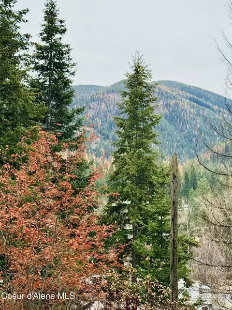 Other - 411 Pine St, Mullan, ID 83846 photo 9 of 12