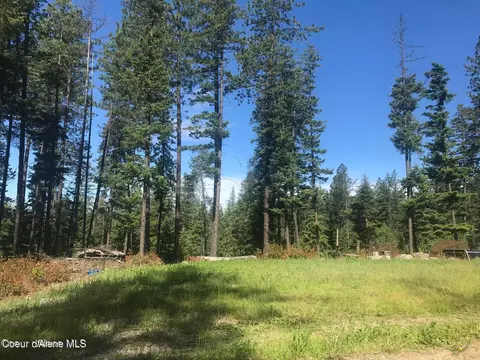 41 Quiet Rd, Athol, ID 83801
