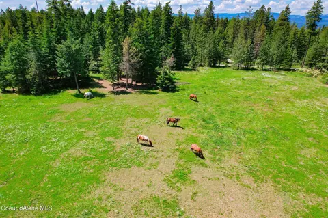 Other - 5939 E Burma Rd, Harrison, ID 83833 photo 23 of 31