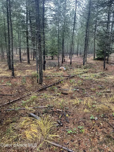 Other - 13150 E Bunco Rd, Athol, ID 83801 photo 4 of 12