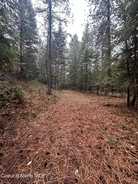 Other - 13150 E Bunco Rd, Athol, ID 83801 photo 7 of 12