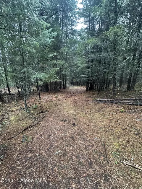 Other - 13150 E Bunco Rd, Athol, ID 83801 photo 3 of 12