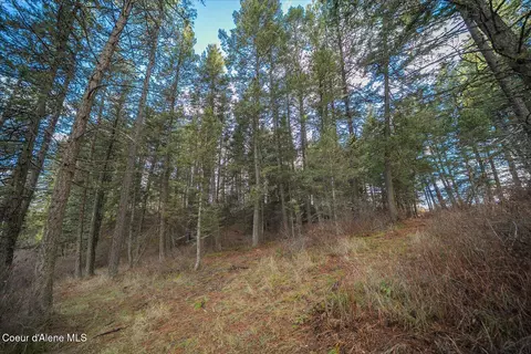 Other - 1635 Canyon Ridge Dr, Plummer, ID 83851 photo 22 of 46