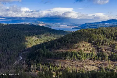 View/Area - 1635 Canyon Ridge Dr, Plummer, ID 83851 photo 7 of 8