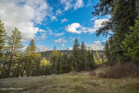 Exterior - 1635 Canyon Ridge Dr, Plummer, ID 83851 photo 13 of 17