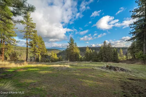 Exterior - 1635 Canyon Ridge Dr, Plummer, ID 83851 photo 12 of 17