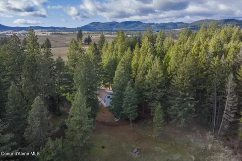 Other - 1635 Canyon Ridge Dr, Plummer, ID 83851 photo 27 of 46