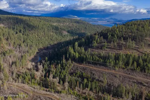 View/Area - 1635 Canyon Ridge Dr, Plummer, ID 83851 photo 5 of 8